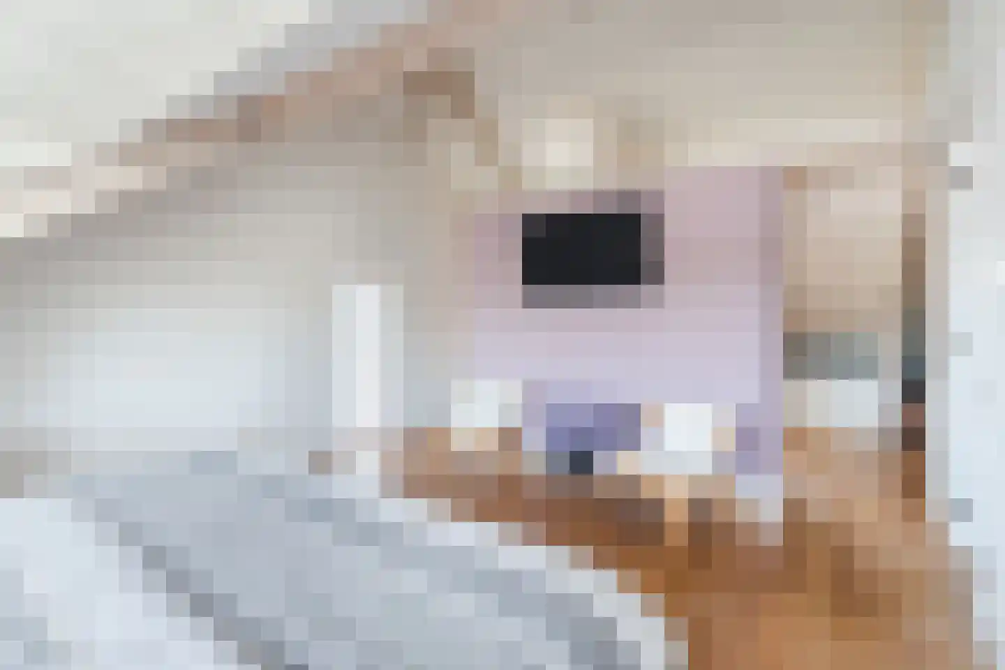 Swanegat 7 Leende thumbnail 44