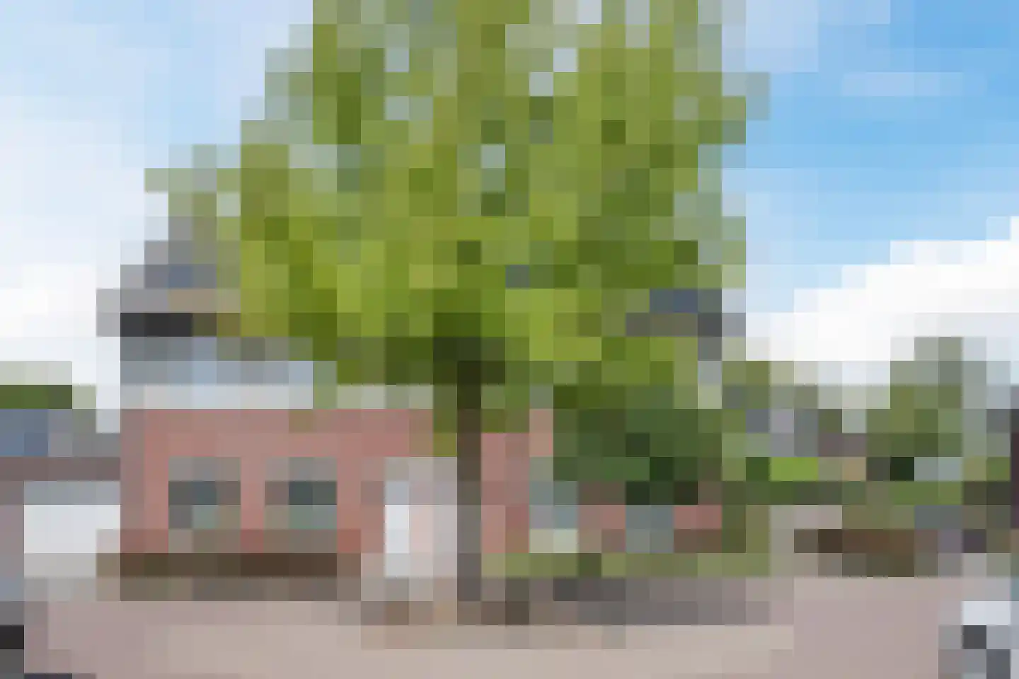 Swanegat 7 Leende thumbnail 52