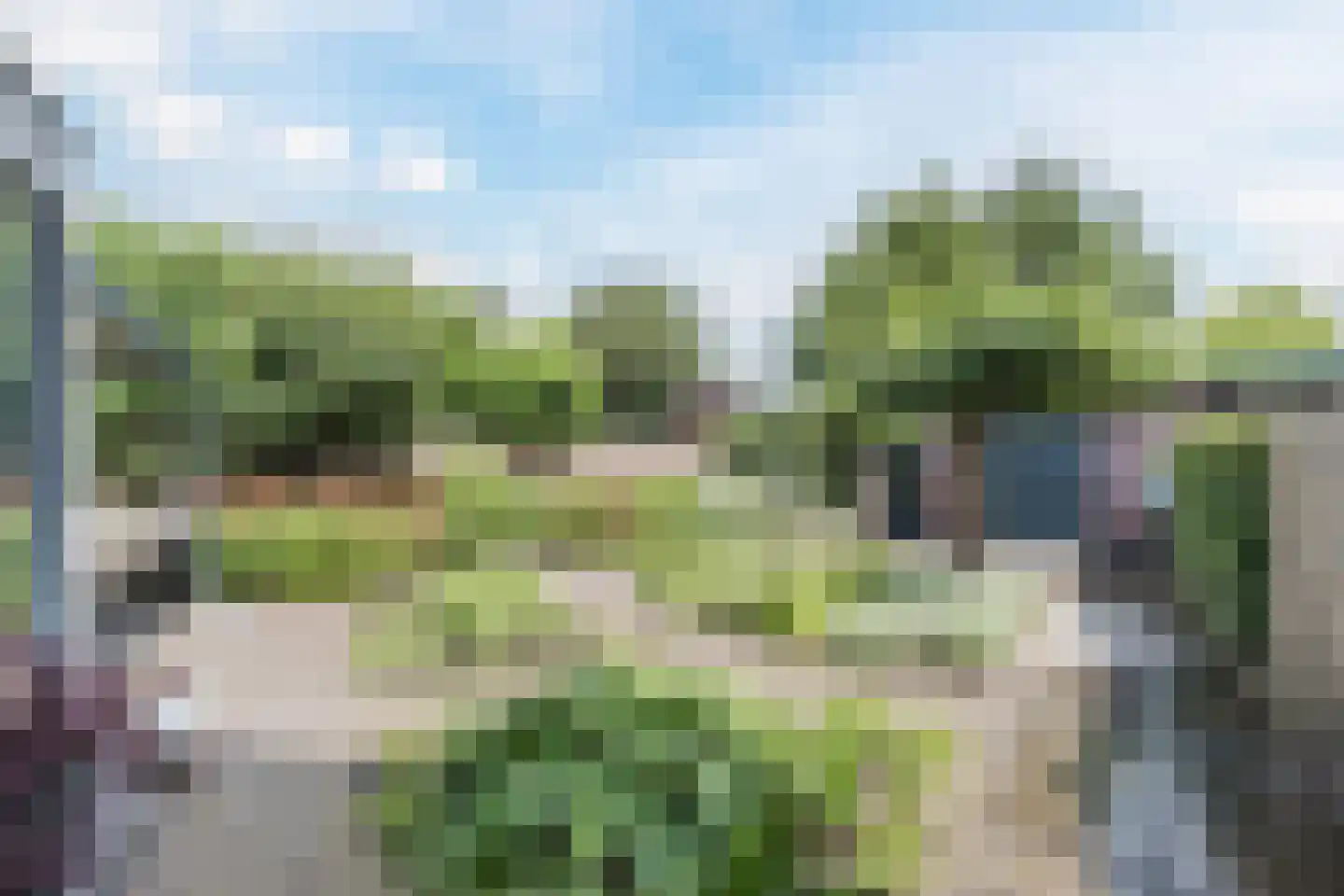 Swanegat 7 Leende thumbnail 6