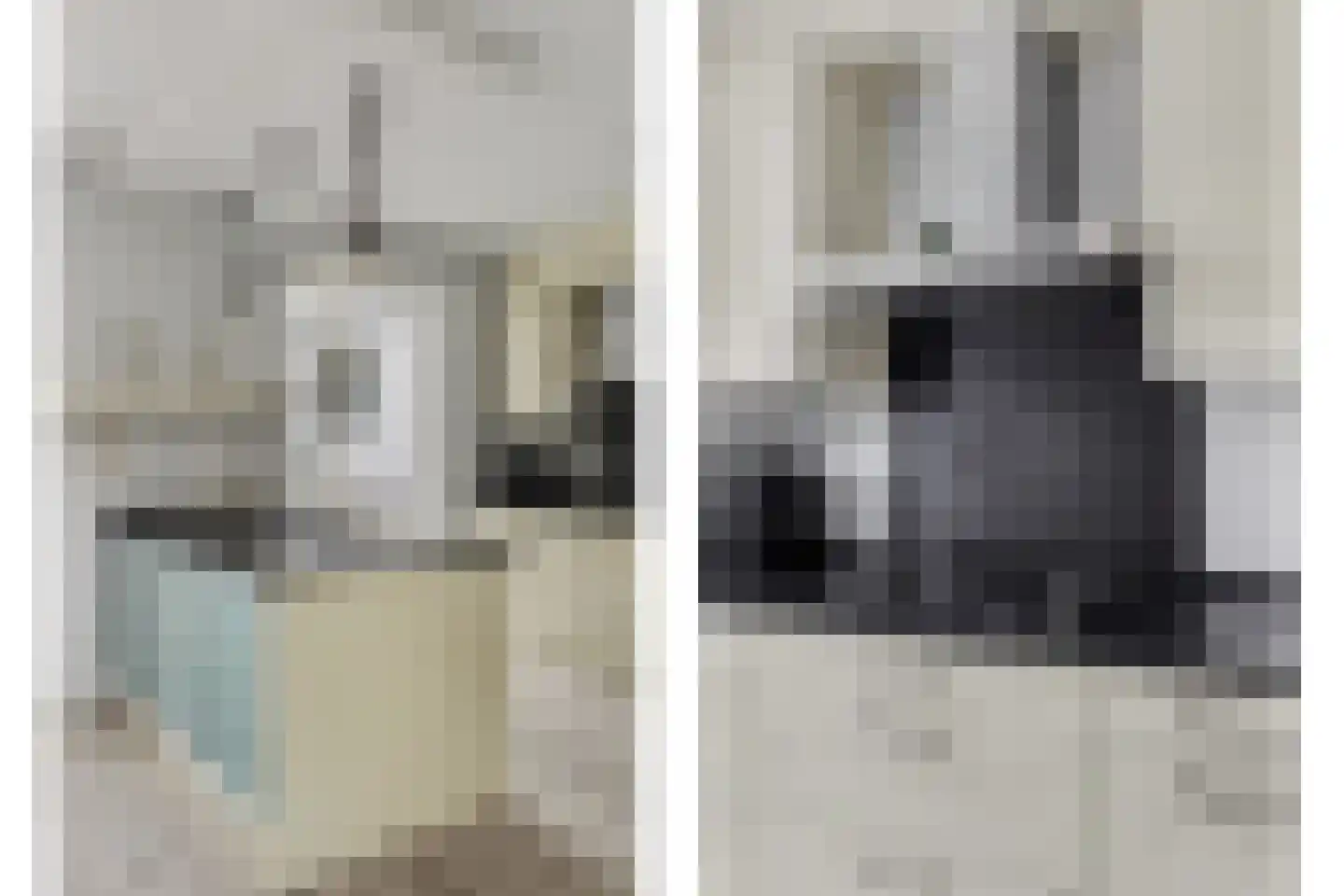 Swanegat 9 Leende thumbnail 10