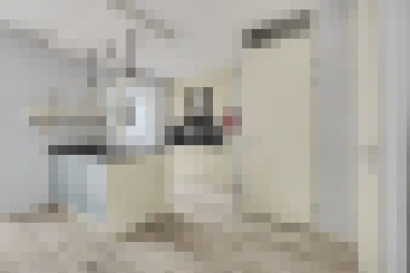 Swanegat 9 Leende thumbnail 11