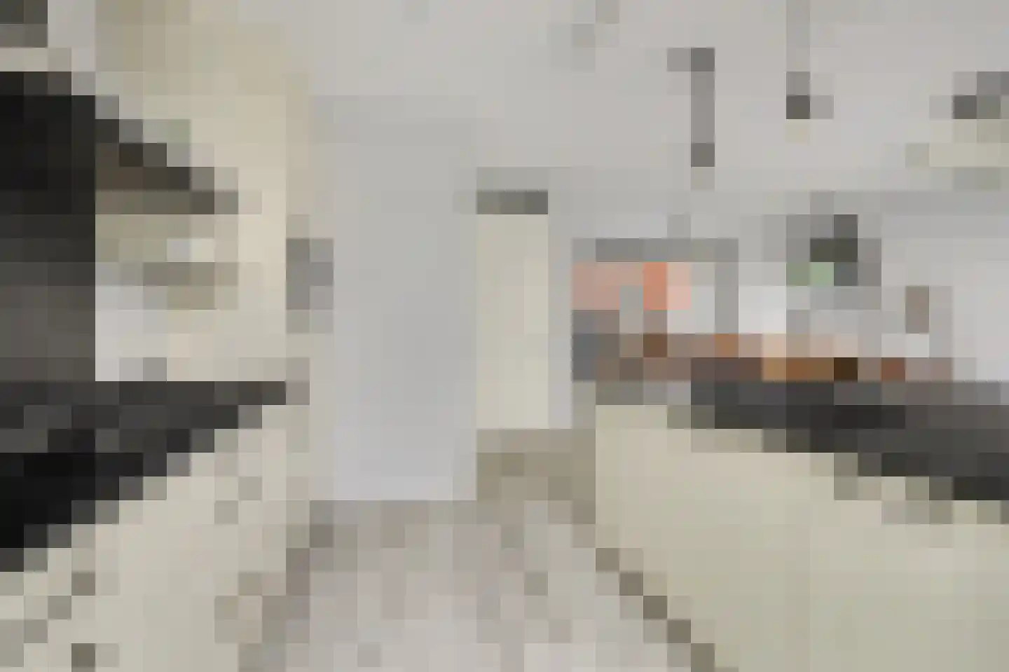 Swanegat 9 Leende thumbnail 12