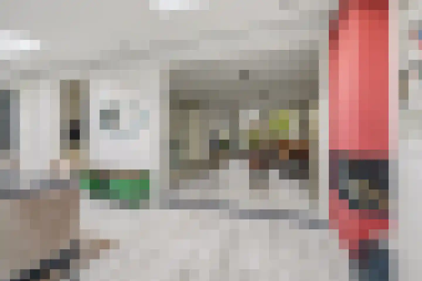 Swanegat 9 Leende thumbnail 14
