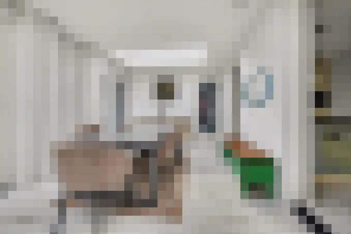 Swanegat 9 Leende thumbnail 15