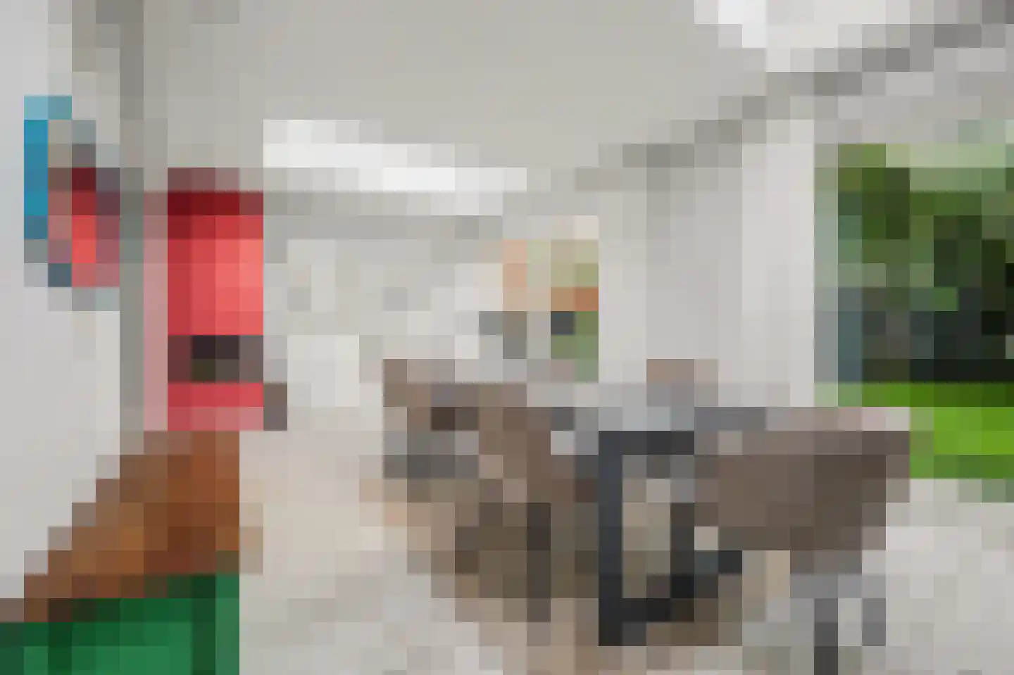 Swanegat 9 Leende thumbnail 16