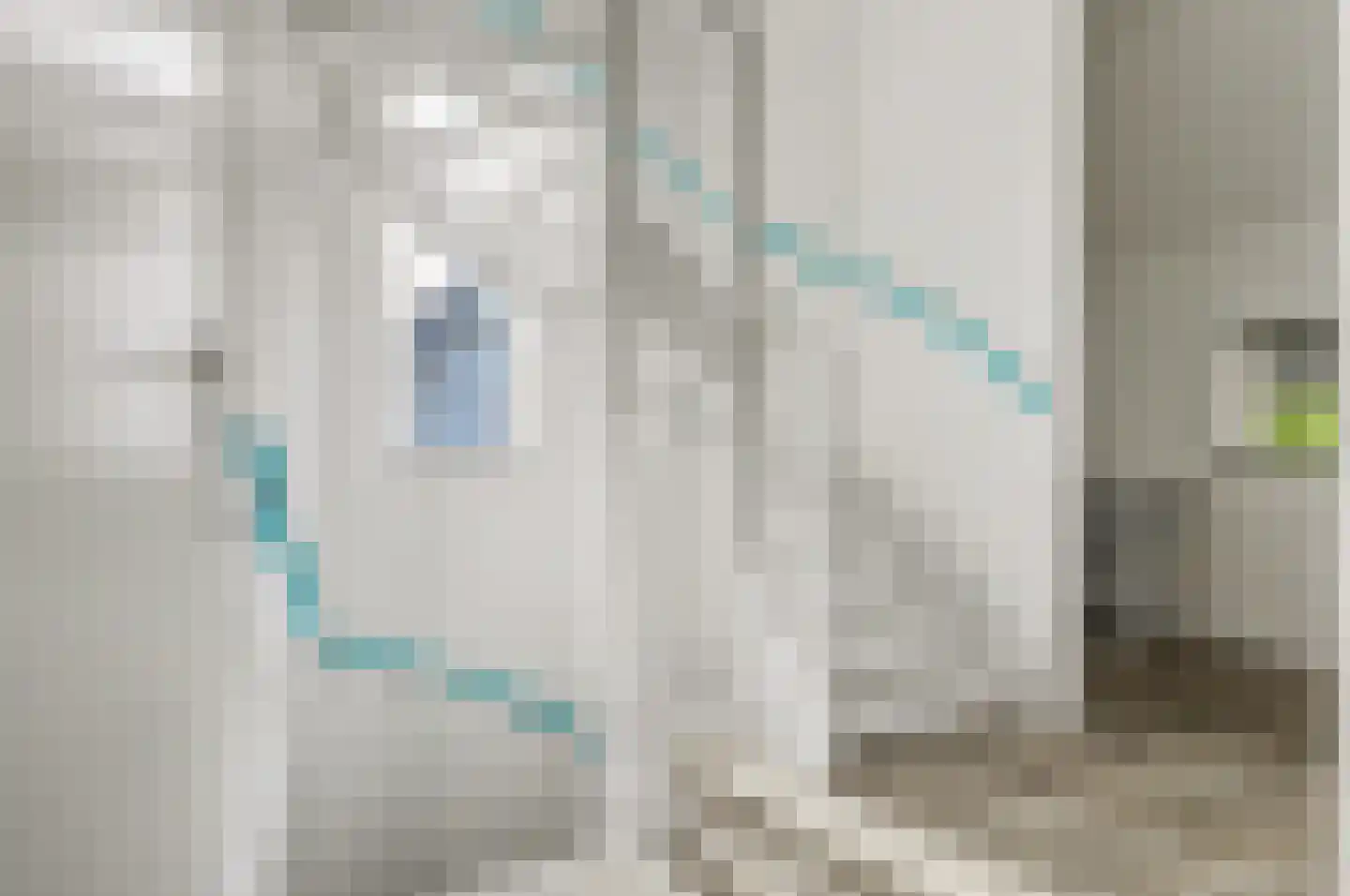 Swanegat 9 Leende thumbnail 17