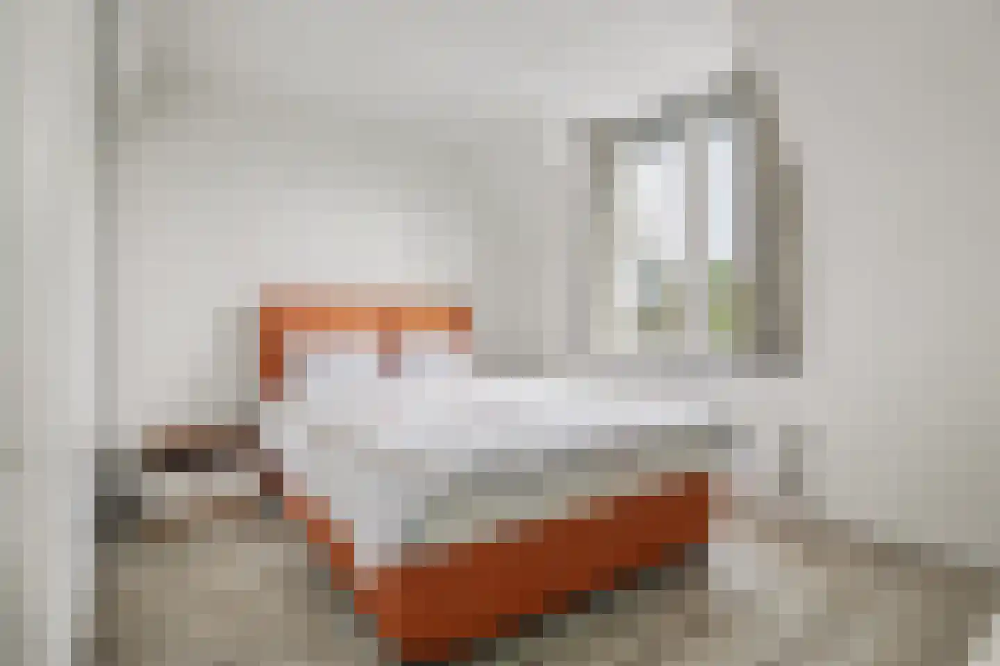 Swanegat 9 Leende thumbnail 18