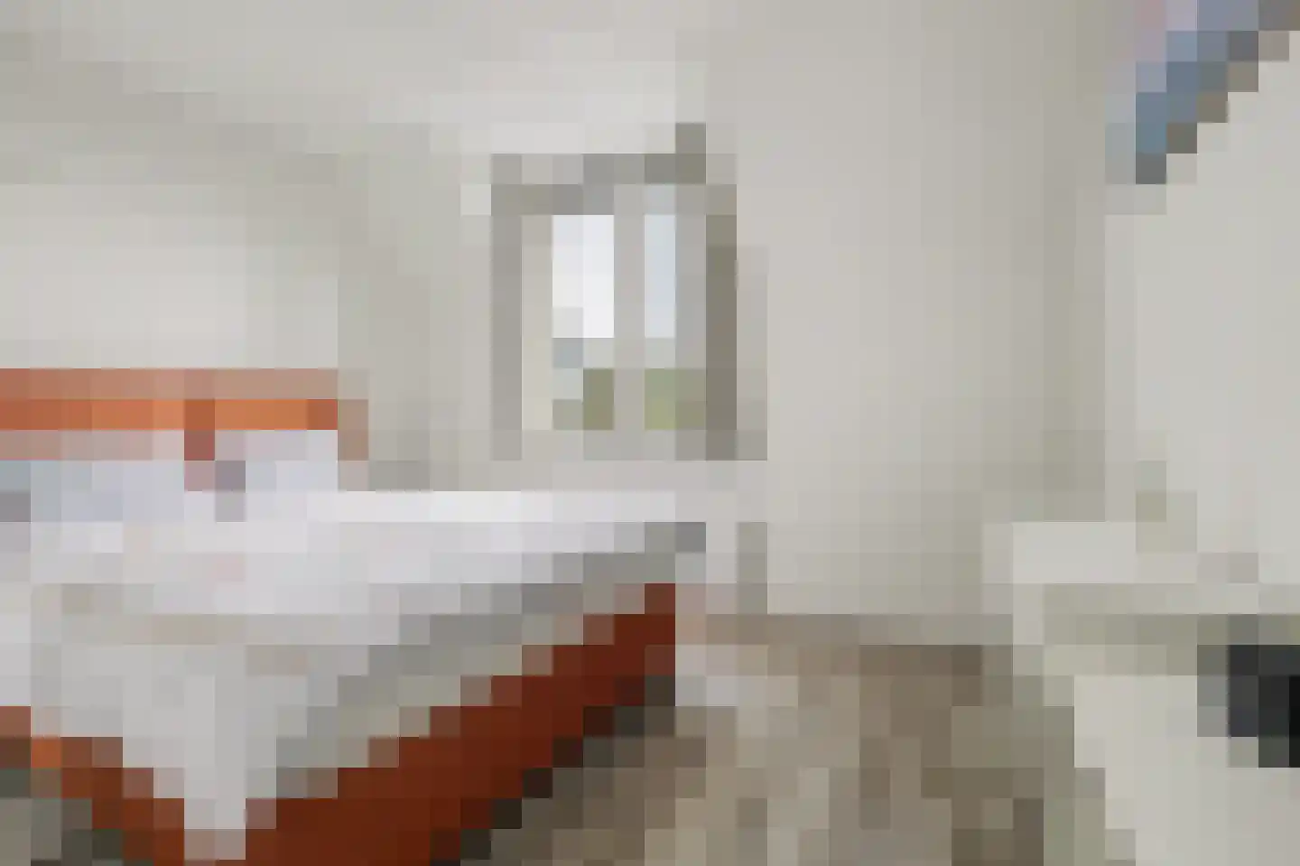 Swanegat 9 Leende thumbnail 19