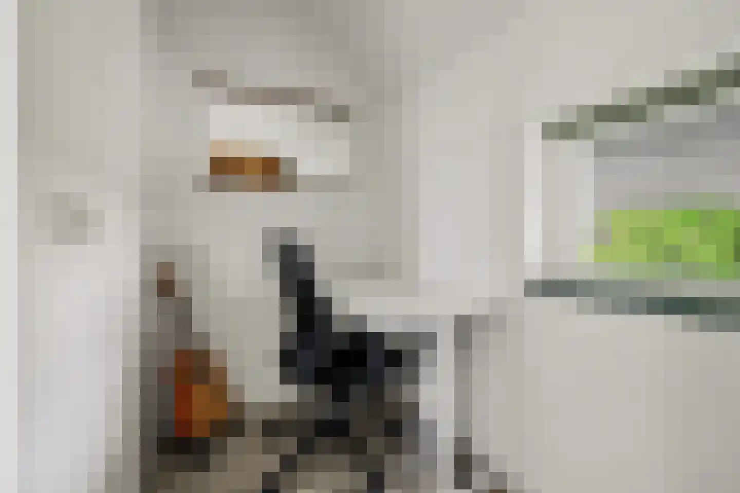 Swanegat 9 Leende thumbnail 21