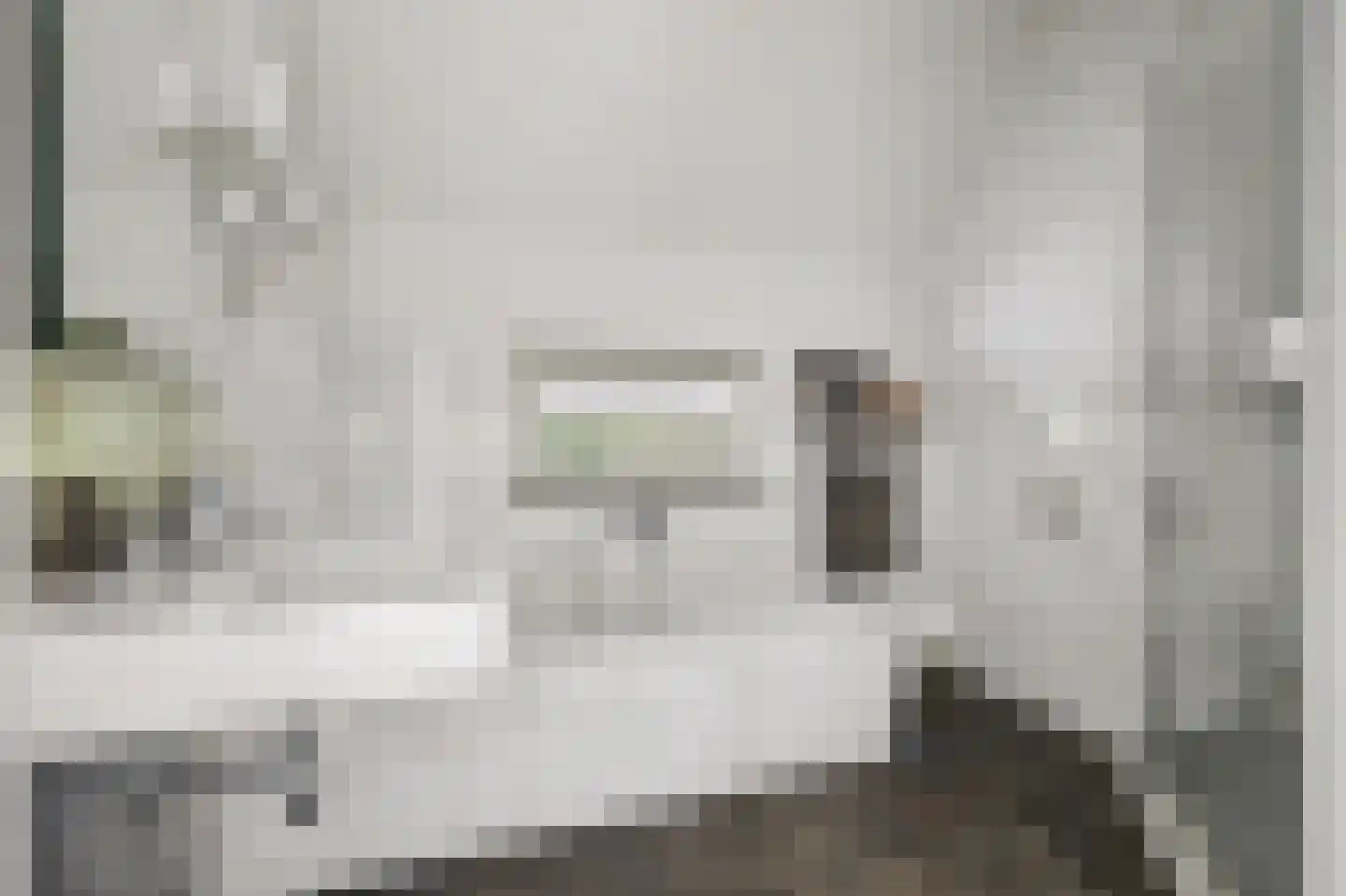 Swanegat 9 Leende thumbnail 22