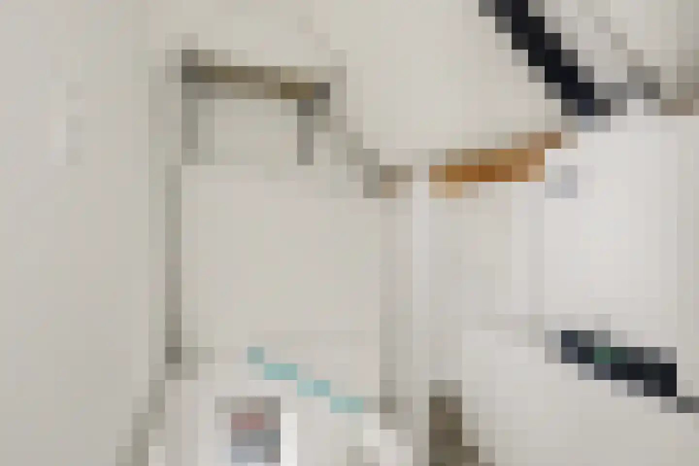 Swanegat 9 Leende thumbnail 25
