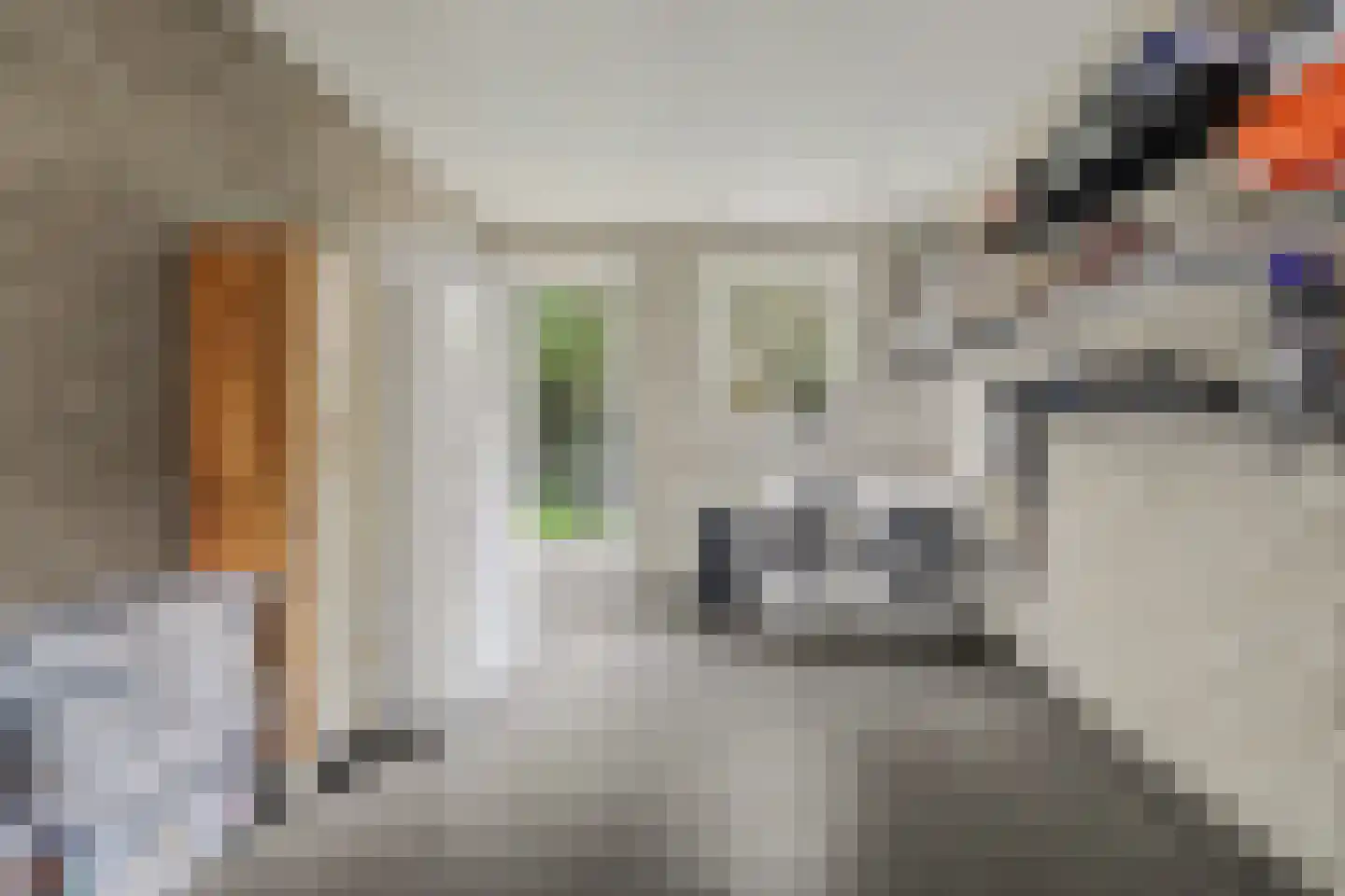 Swanegat 9 Leende thumbnail 29