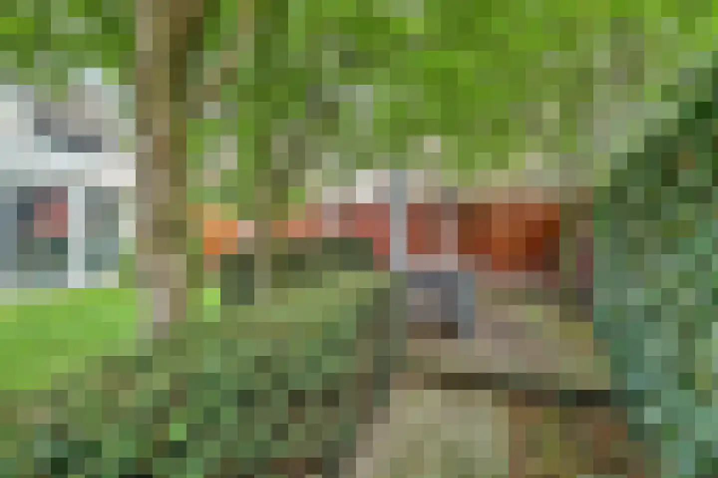 Swanegat 9 Leende thumbnail 33