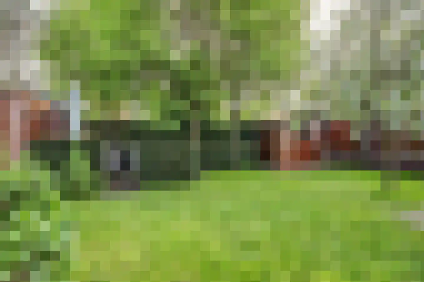 Swanegat 9 Leende thumbnail 34