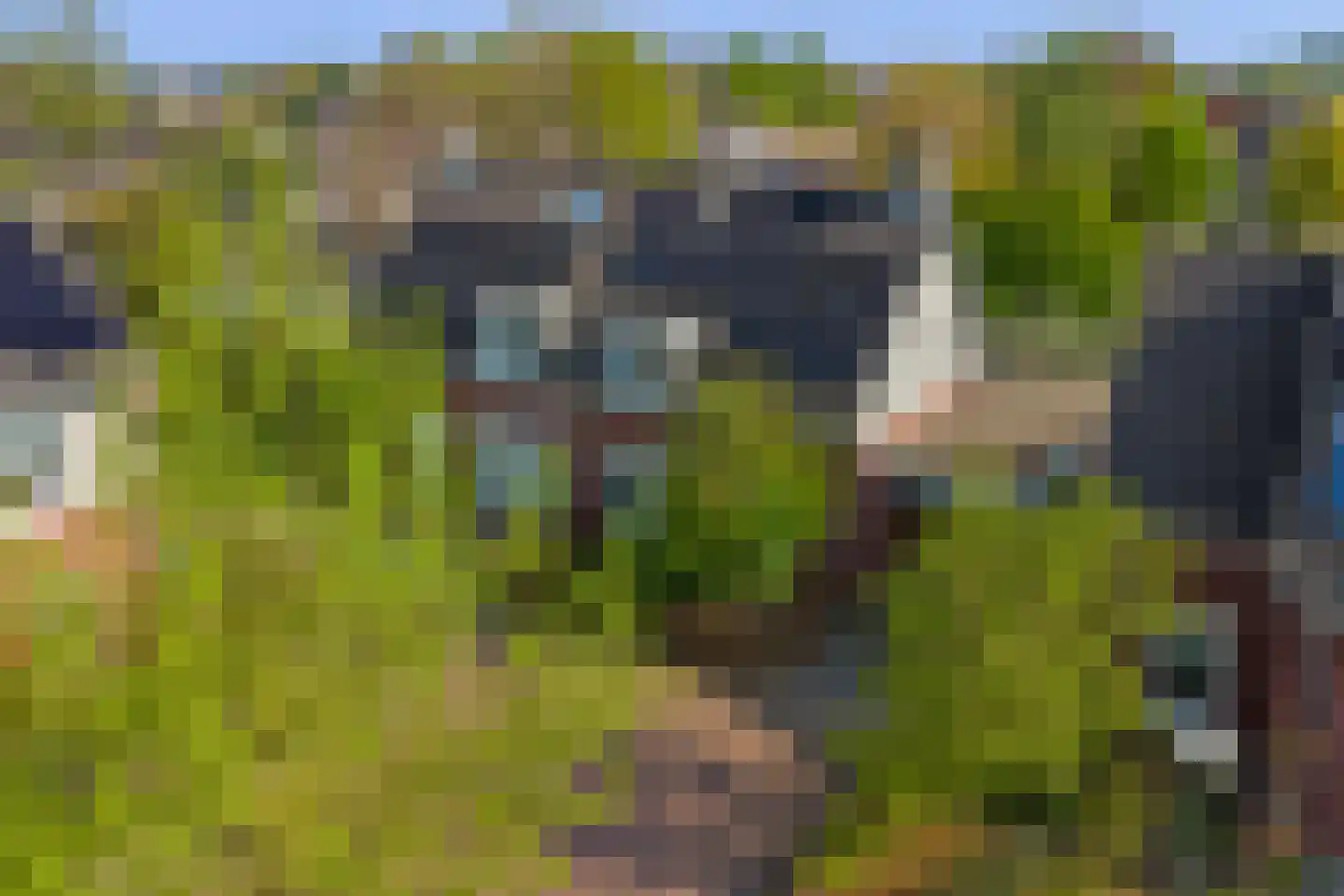 Swanegat 9 Leende thumbnail 39