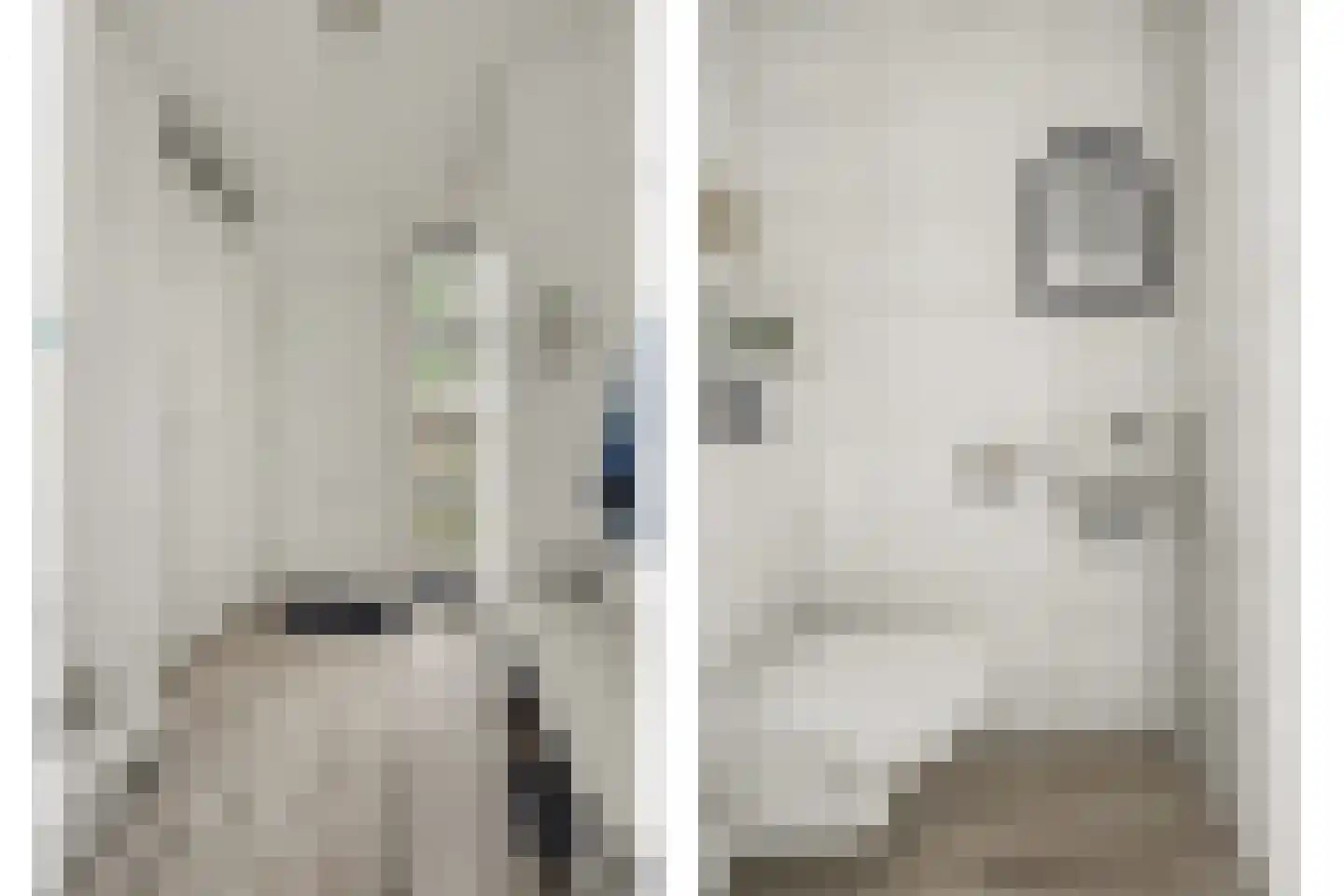 Swanegat 9 Leende thumbnail 4