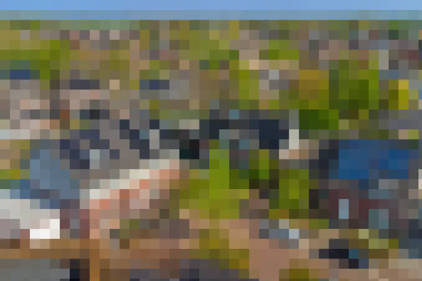 Swanegat 9 Leende thumbnail 42