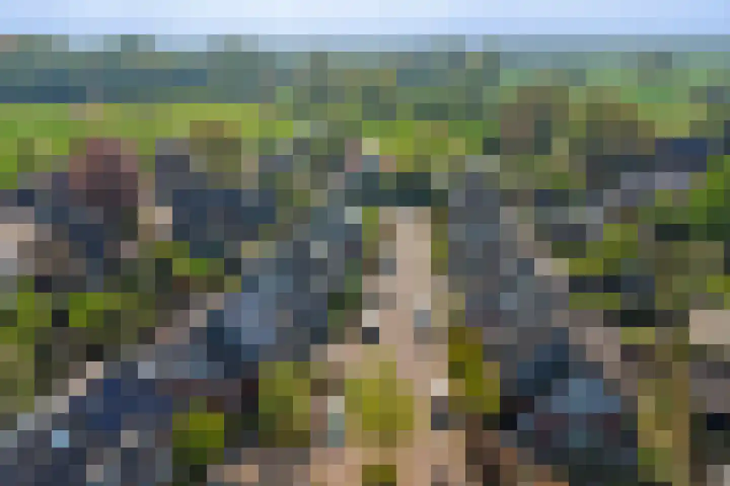 Swanegat 9 Leende thumbnail 43