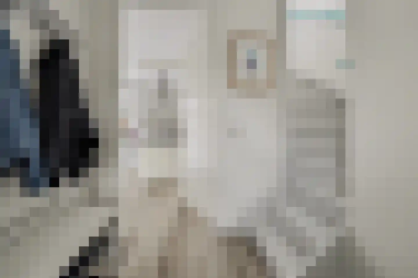 Swanegat 9 Leende thumbnail 5