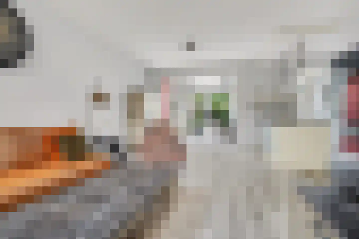 Swanegat 9 Leende thumbnail 8