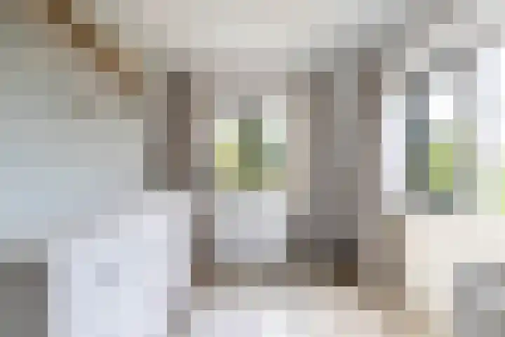 Swanenburg 22 Marum thumbnail 31