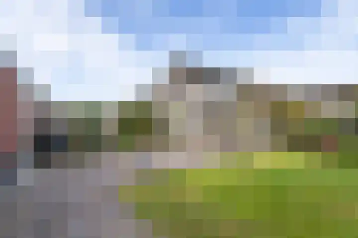Swanenburg 22 Marum thumbnail 42