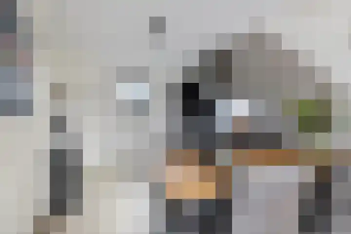 Swanenburg 6 Marum thumbnail 10