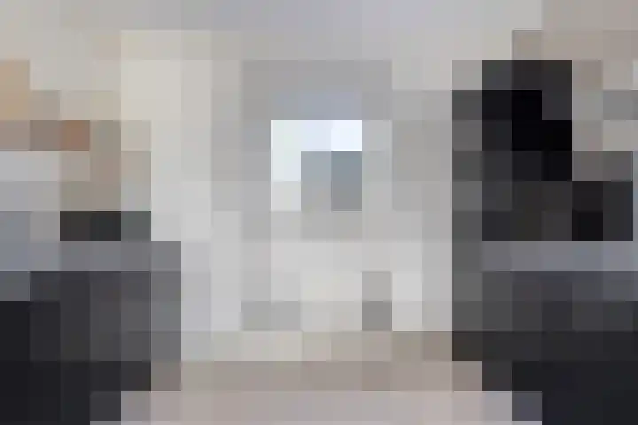 Swanenburg 6 Marum thumbnail 12