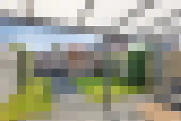 Swanenburg 6 Marum thumbnail 29