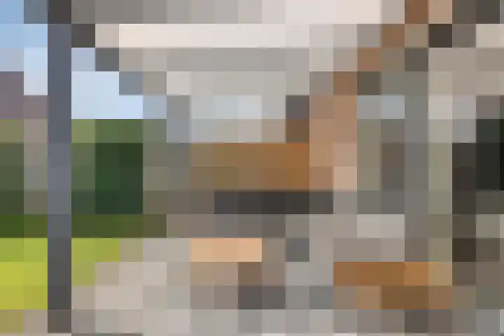 Swanenburg 6 Marum thumbnail 30