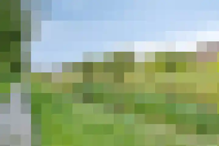 Swanenburg 6 Marum thumbnail 33