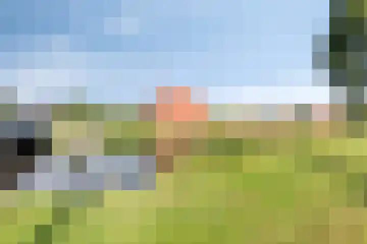 Swanenburg 6 Marum thumbnail 34