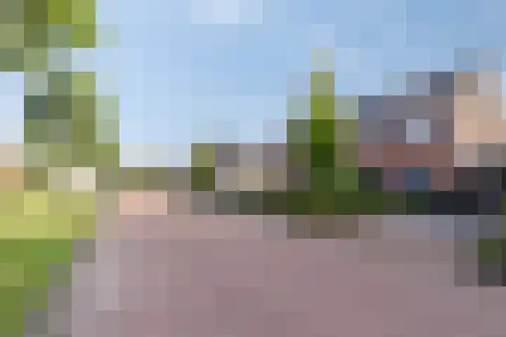 Swanenburg 6 Marum thumbnail 4