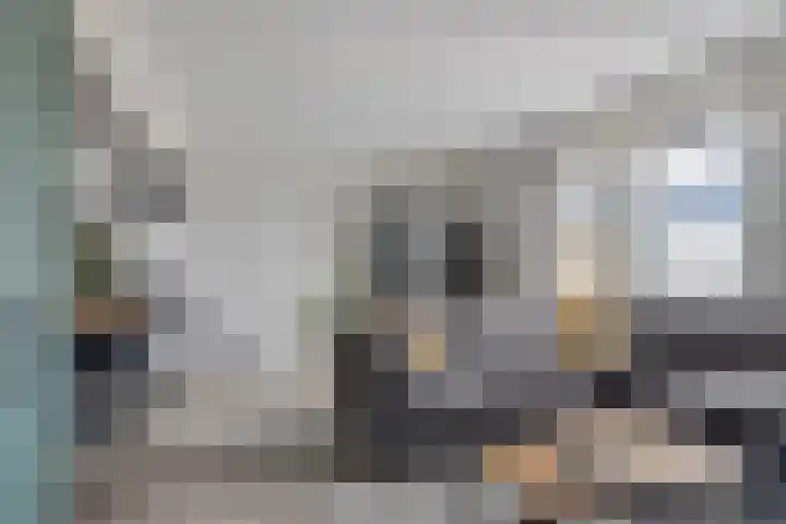 Swanenburg 6 Marum thumbnail 8