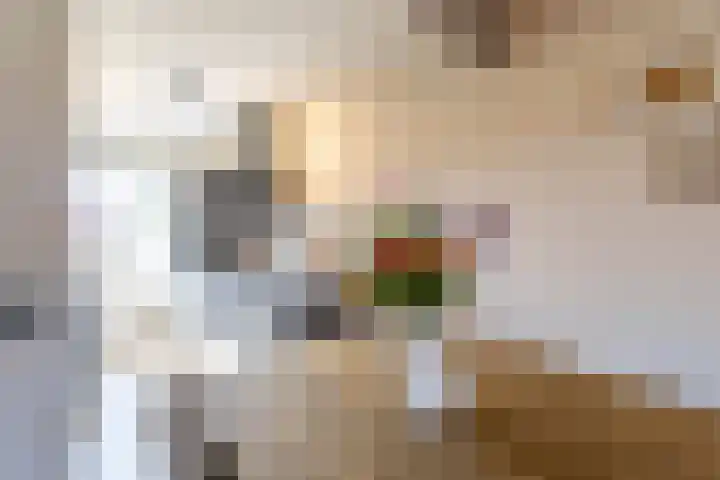 Swanenburg 8 Marum thumbnail 12