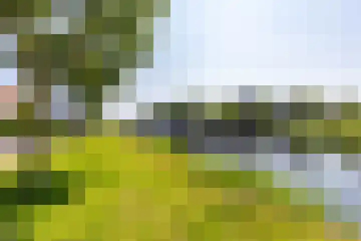 Swanenburg 8 Marum thumbnail 42