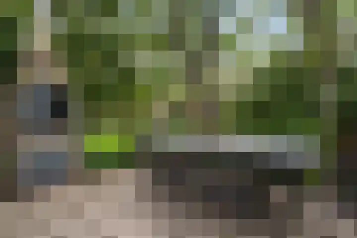 Swanenburg 8 Marum thumbnail 48