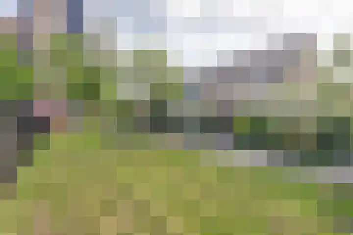 Swanendrift 70 Zwijndrecht thumbnail 37