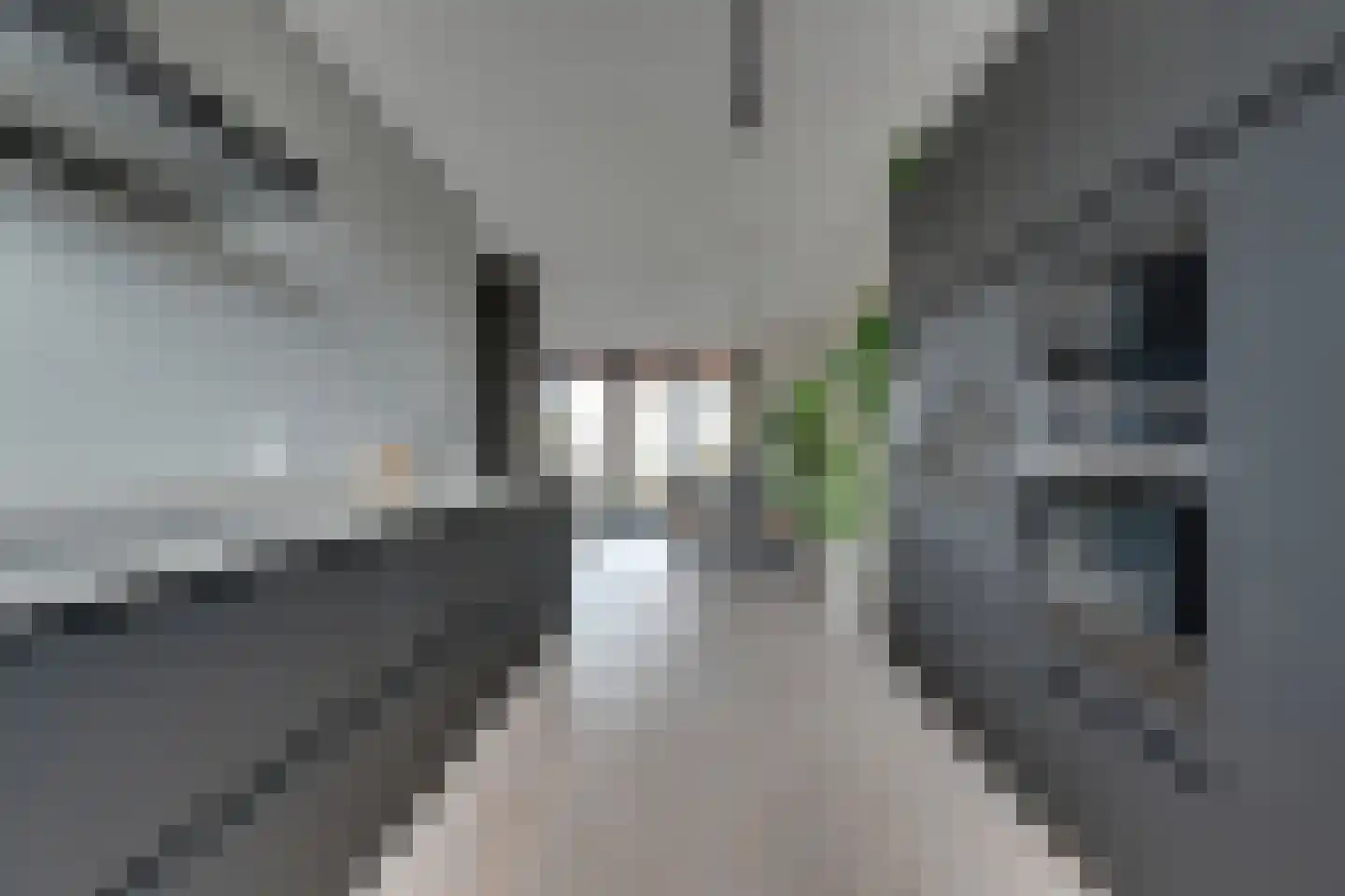 Swanepol 8 Zevenaar thumbnail 10