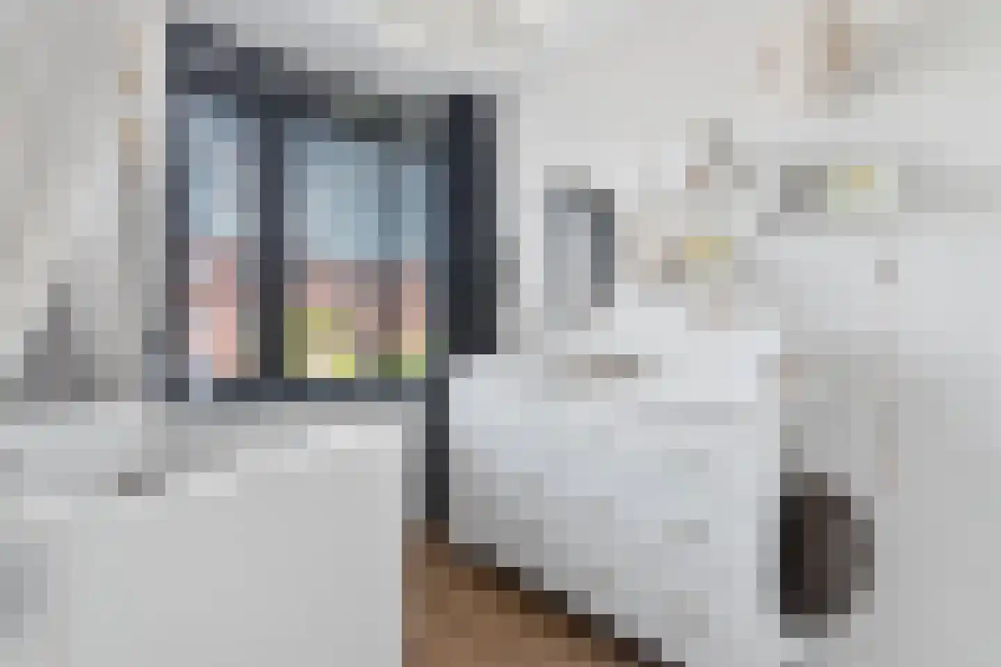 Swanepol 8 Zevenaar thumbnail 22