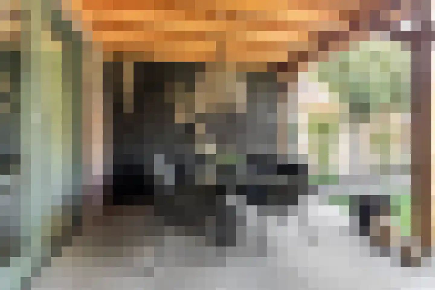 Swanepol 8 Zevenaar thumbnail 35