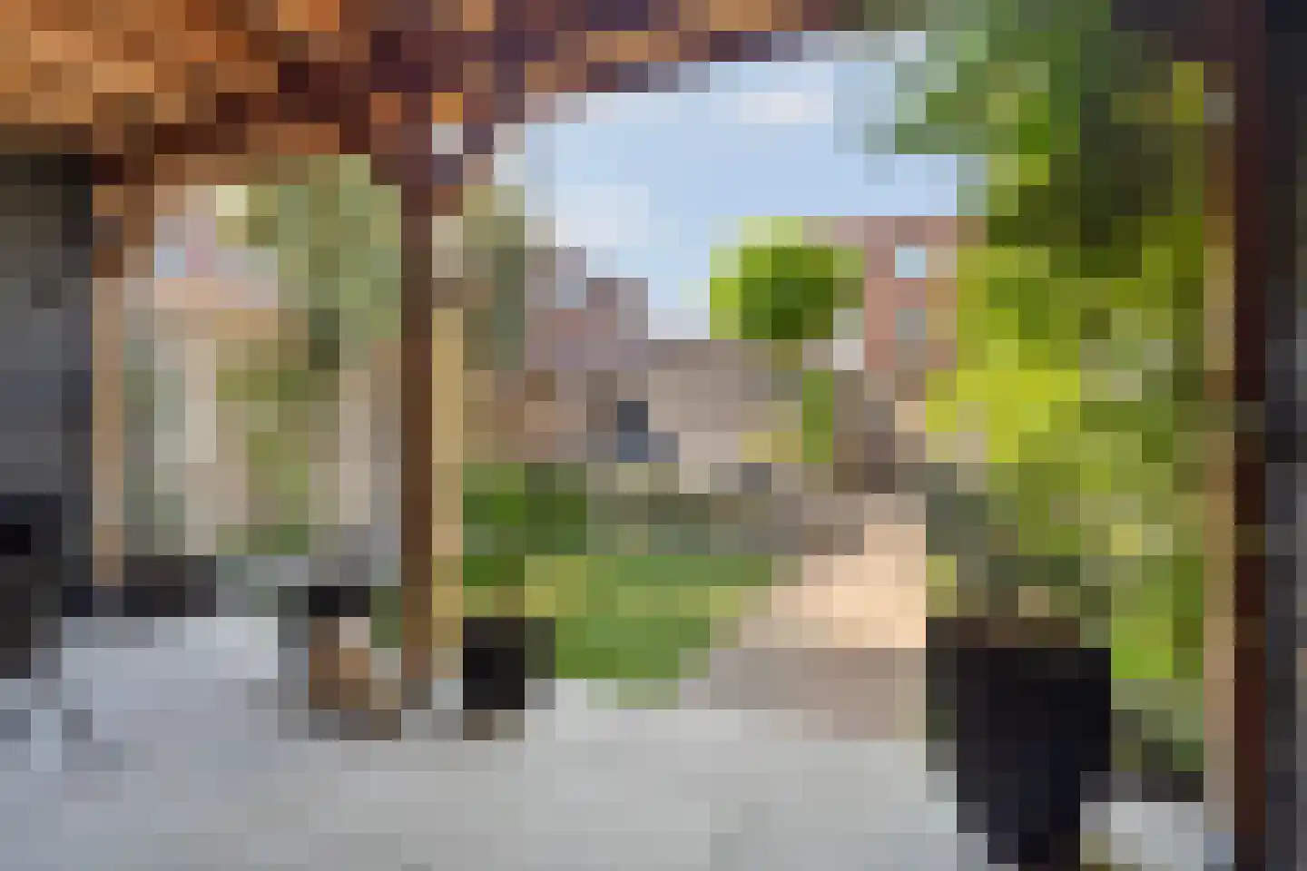 Swanepol 8 Zevenaar thumbnail 36