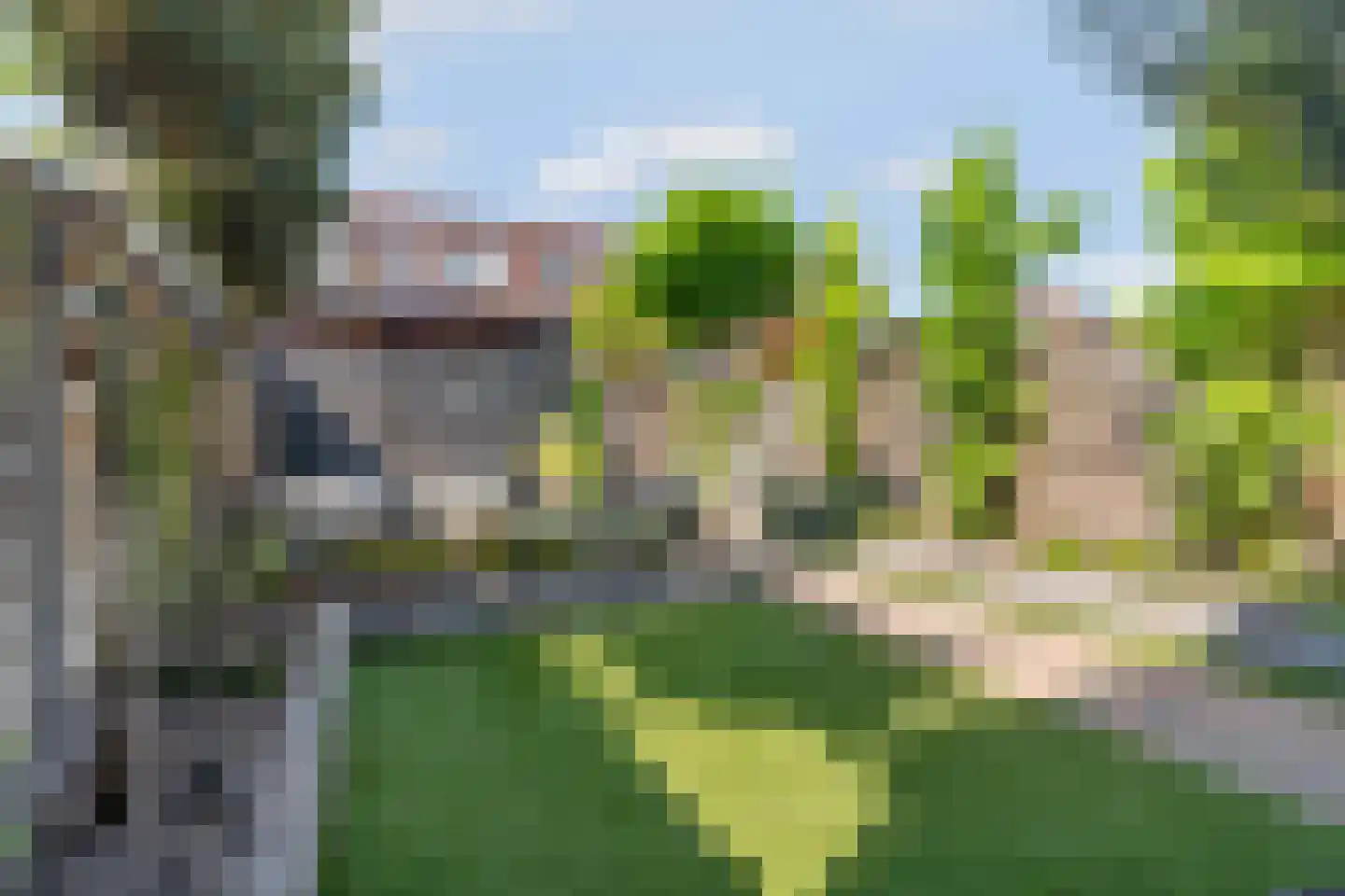 Swanepol 8 Zevenaar thumbnail 37