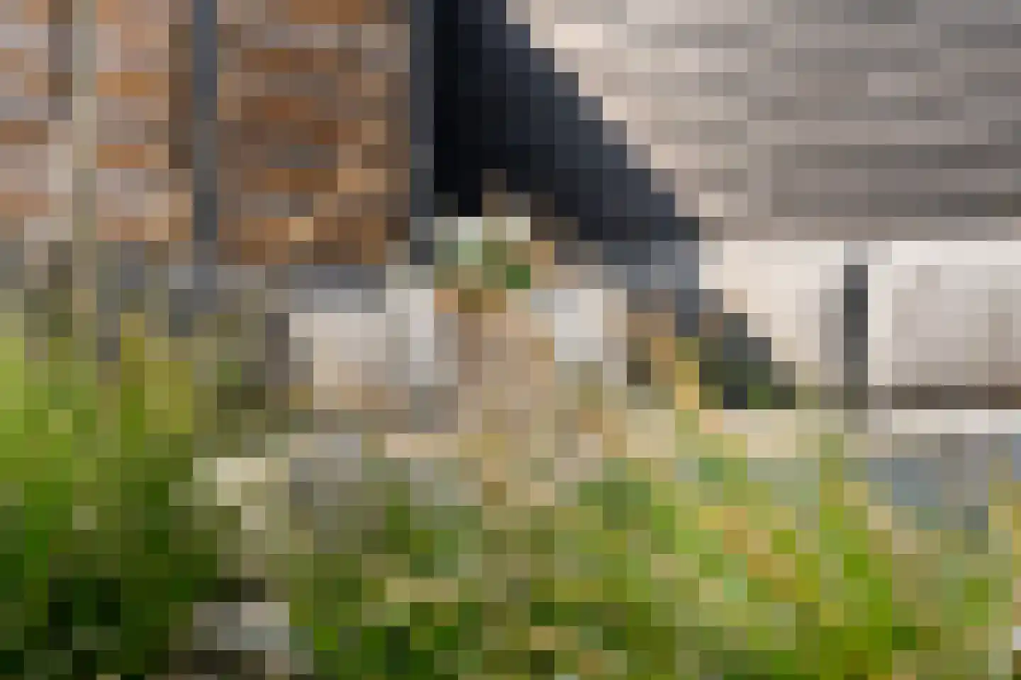 Swanepol 8 Zevenaar thumbnail 38