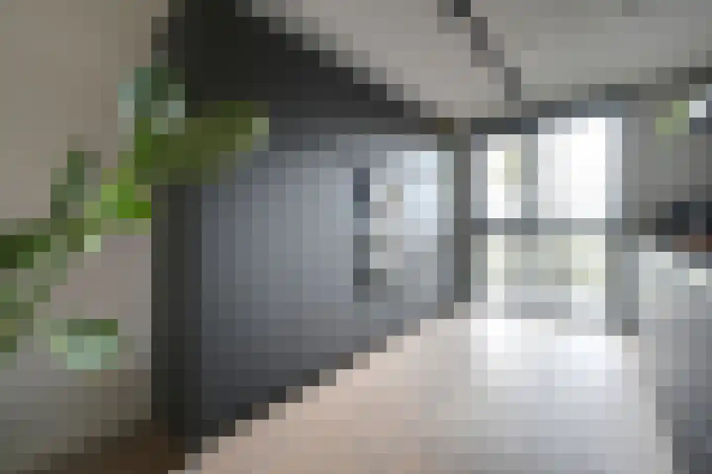Swanepol 8 Zevenaar thumbnail 4