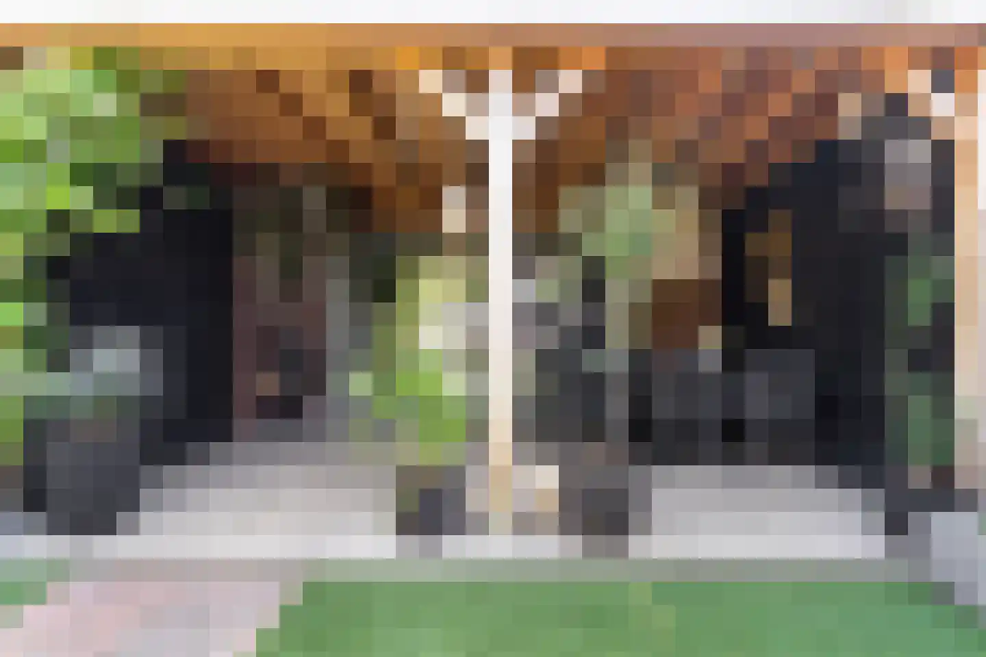 Swanepol 8 Zevenaar thumbnail 42