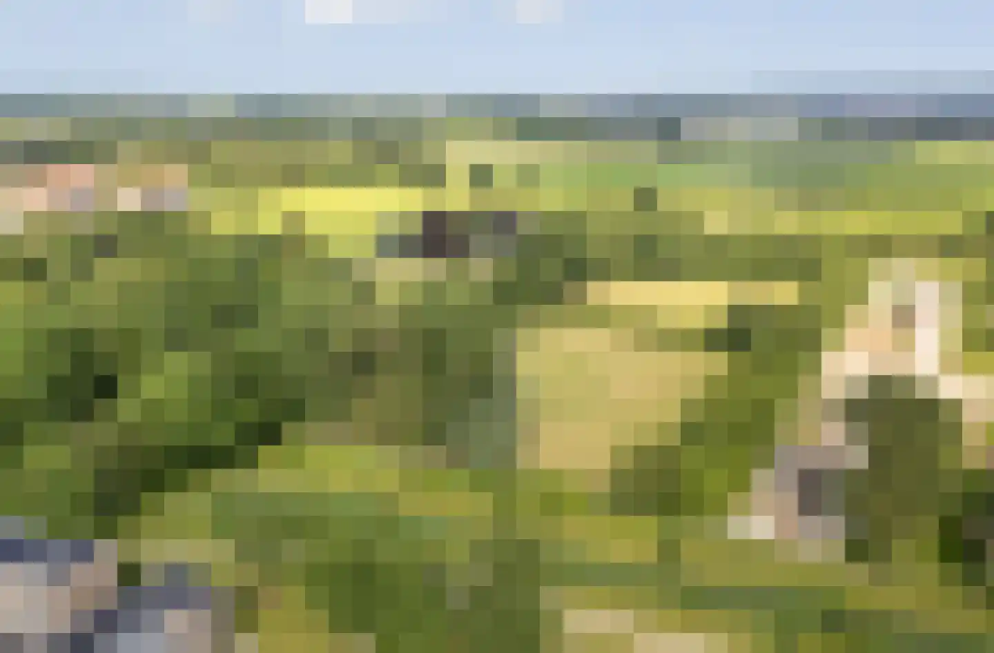 Swanepol 8 Zevenaar thumbnail 45