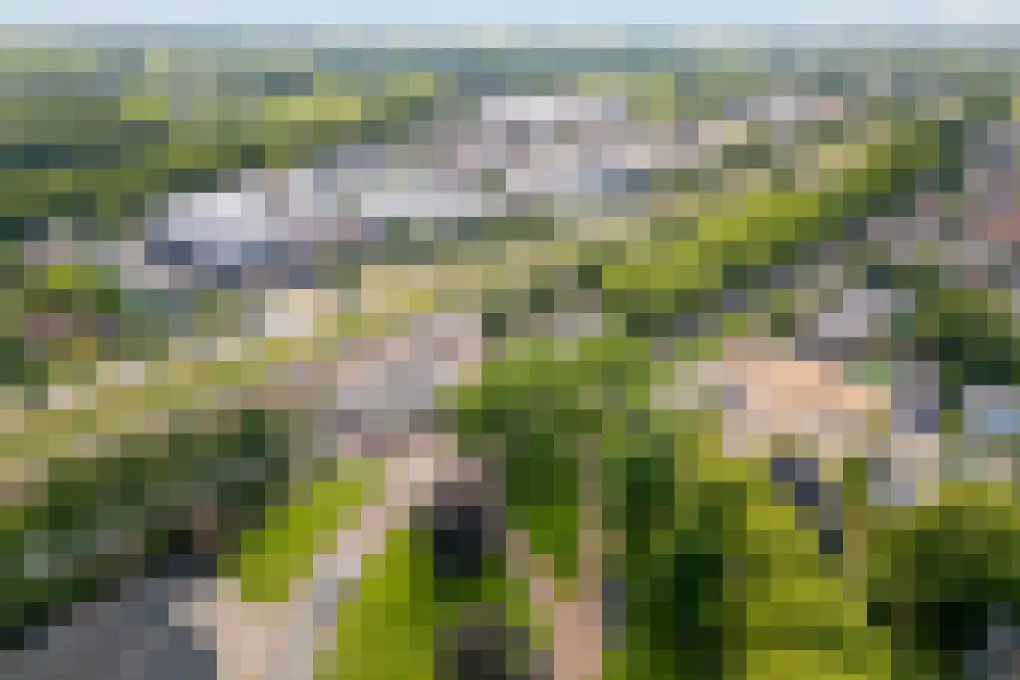Swanepol 8 Zevenaar thumbnail 47