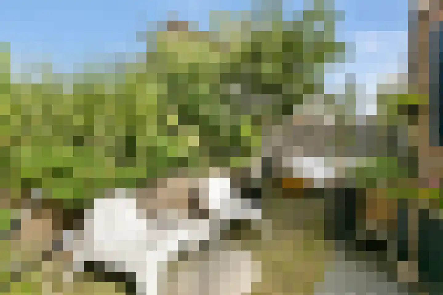Swanevelt 37 Ouderkerk aan de Amstel thumbnail 16