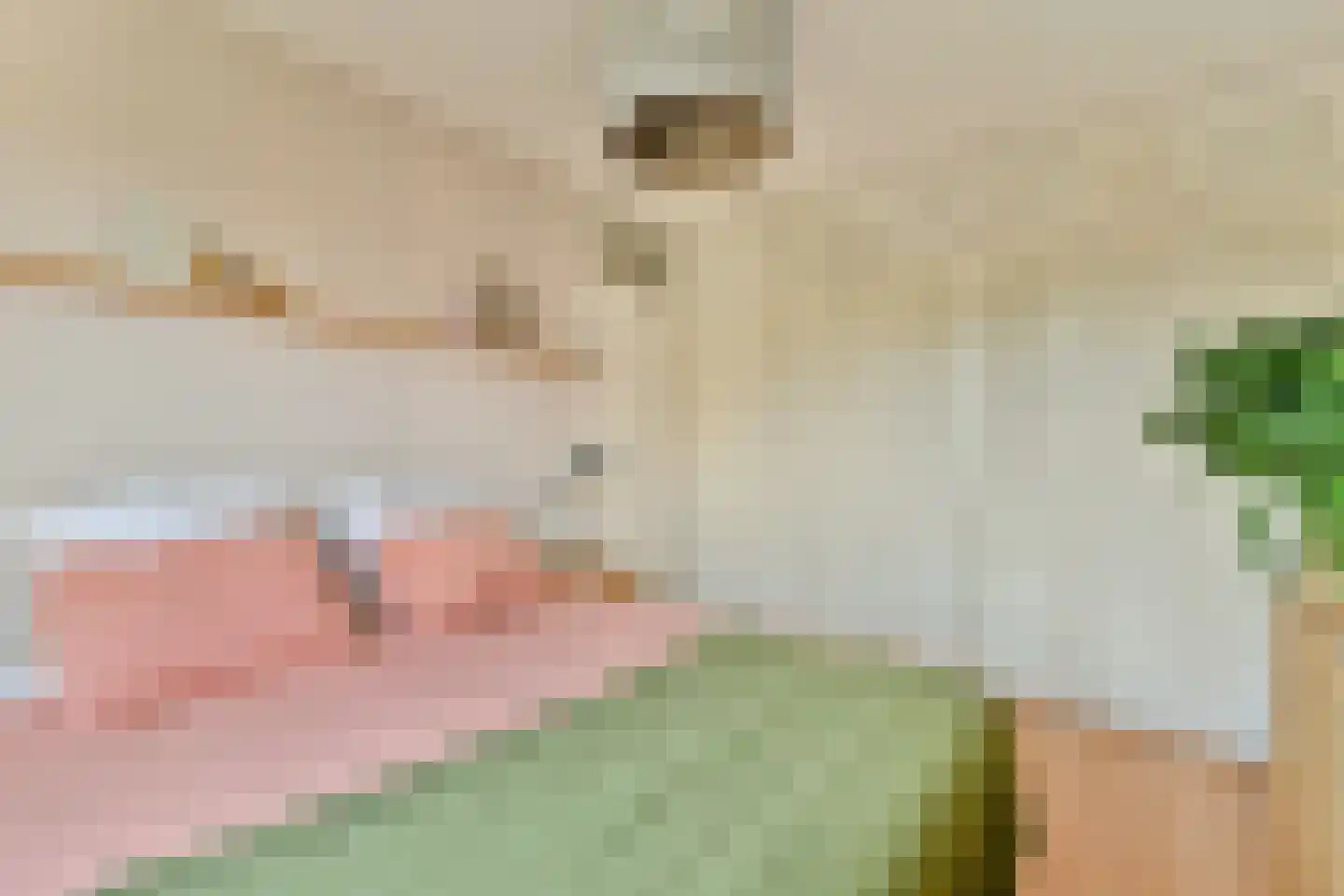 Swanevelt 37 Ouderkerk aan de Amstel thumbnail 19